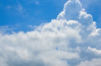 free avax airdrop on optimism