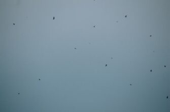 free dot airdrop on okx