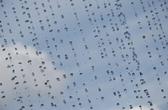 free dot airdrop on optimism