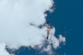 free eth airdrop on binance
