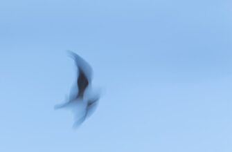 free ethereum airdrop on okx
