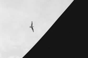 free opbnb airdrop on binance