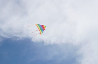 free sui airdrop on polygon