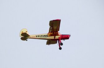 free ton airdrop in south africa