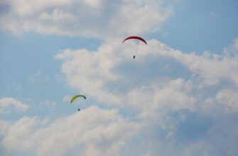 free zk airdrop on optimism