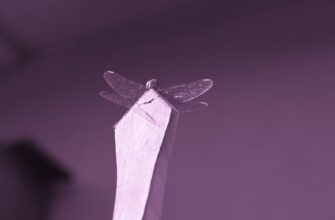 get ethereum airdrop on starknet