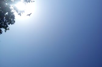 get solana airdrop on binance