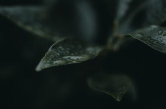hedging bnb on bitget using bots 1 minute timeframe