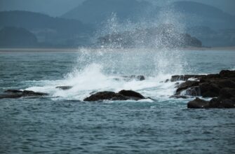hedging cardano on kraken risk management 1 minute timeframe