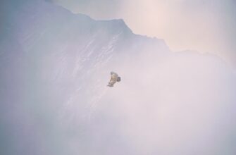 how to get eth airdrop massive