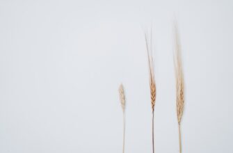 how to protect seed phrase offline