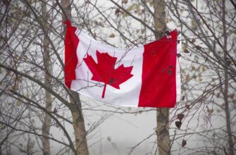 how to report crypto income in canada