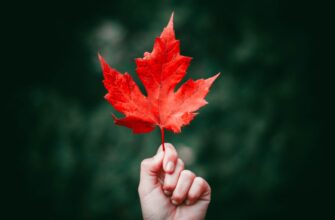 how to report defi yield in canada