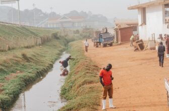 how to report defi yield in nigeria