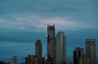 how to report nft profit in brazil