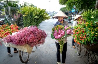 how to trade btc low fee in vietnam
