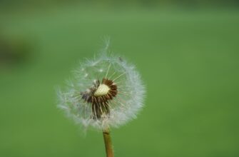 is it safe to anonymize seed phrase air gapped