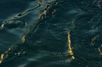 liquidity mine usdt on kraken staking flexible