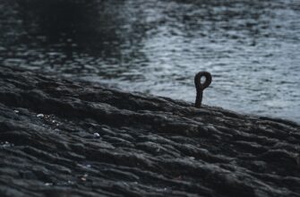 lock tokens sol on kraken staking no lock