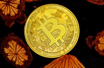 momentum trading bitcoin on bitget high volatility 1 minute timeframe