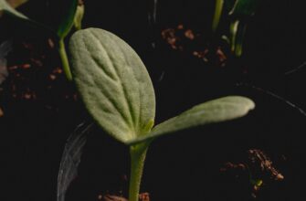 protect seed phrase without kyc low cost