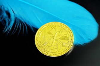 purchase bitcoin with visa in sao paulo