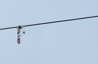 receive arb airdrop on linea