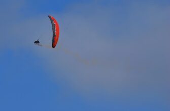 receive avax airdrop on polygon