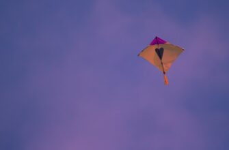 receive pepe airdrop on polygon
