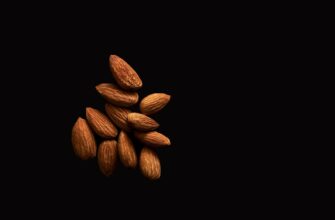 store seed phrase offline low cost