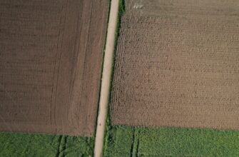 yield farm dot on aave no lock