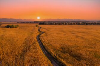 yield farm dot on lido finance