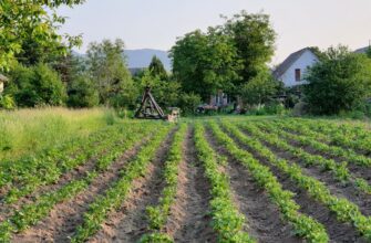 yield farm eth on pendle step by step
