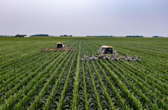 yield farm sol step by step