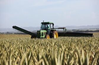 yield farm ton on lido finance low risk