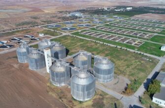 yield farm usdc on beefy finance