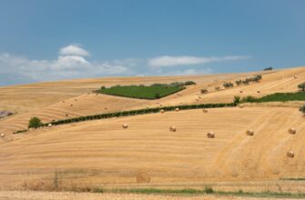 yield farm usdt on beefy finance guide