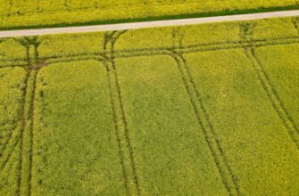 best way to yield farm ton