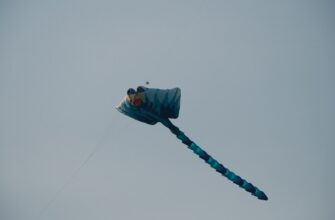 collect aptos airdrop on starknet