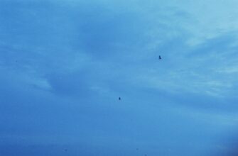 collect sol airdrop on zksync