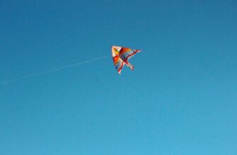 collect sui airdrop on polygon