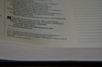 copy trading btc on binance manual