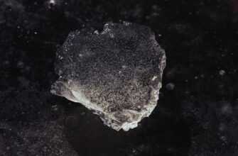 deposit sol on compound best apy