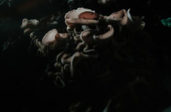 deposit usdt on kraken staking best apy