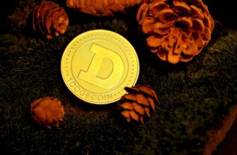 earn pepe airdrop on bybit