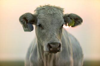 farm atom on binance earn no lock