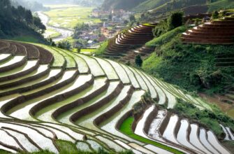 farm dai on yearn finance in 2025