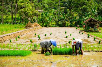 farm eth on binance earn best apy