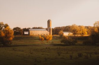 farm ethereum on pendle beginner