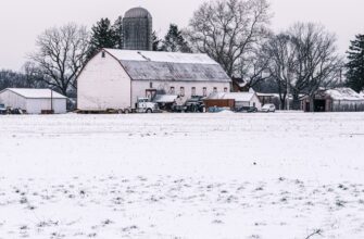farm usdt on lido finance guide